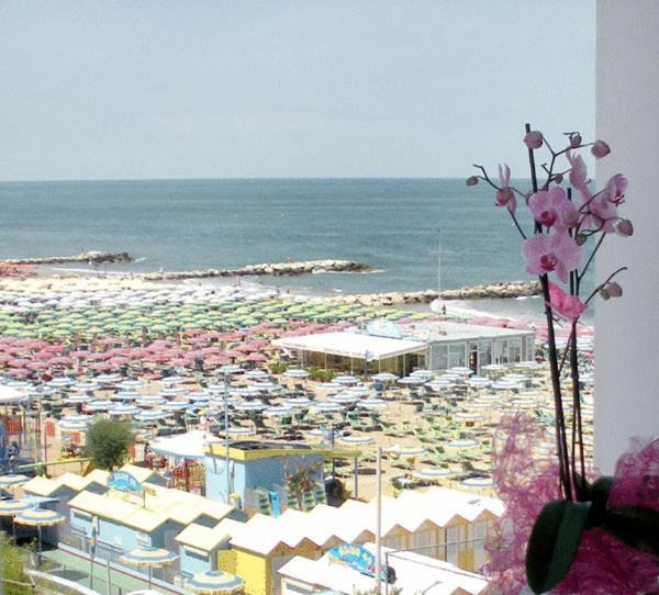 Hotel Alba 미사노아드리아티코 외부 사진
